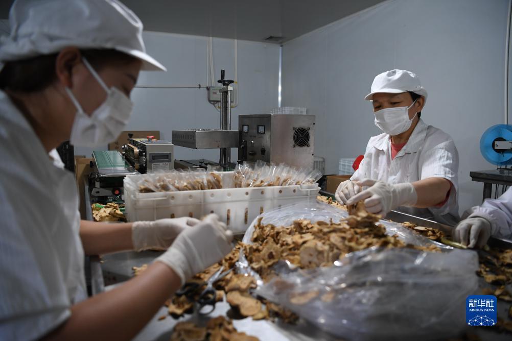 赛博评级公司